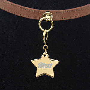 Design Your Own Steel Collar Tag - Star Collar Tag Restrained Grace