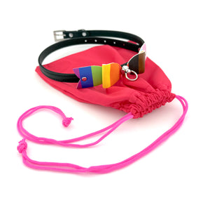 Collar Keepsake Bag - Leather Gear Storage Box Restrained Grace Small