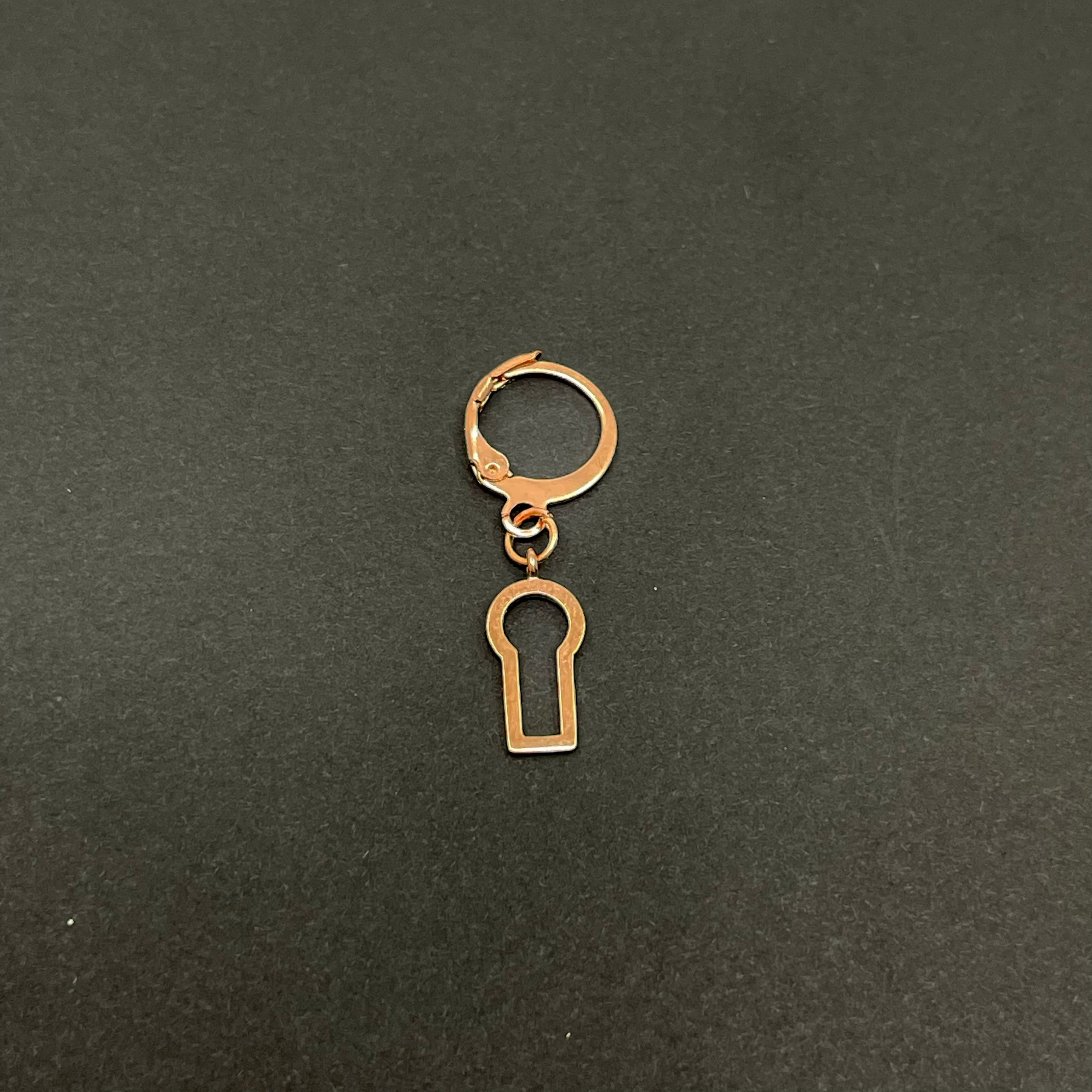 Key Hole Collar Charm Collar Tag Restrained Grace