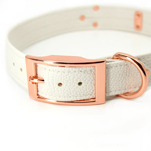 Retro Trick or Treat Classic Collar Collar Restrained Grace