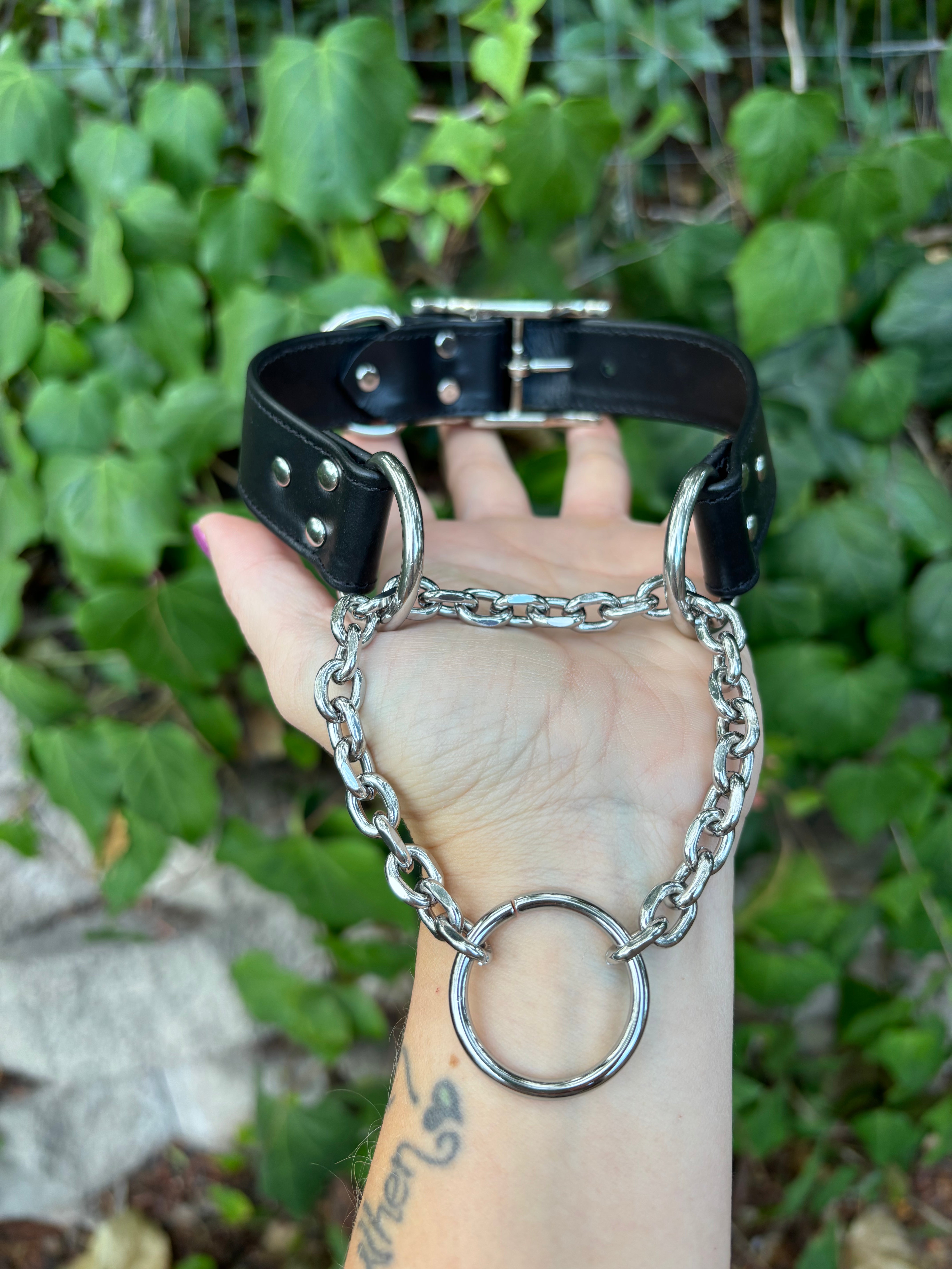 Sample Sale - Black and Silver Classic Martingale Collar - 14.25”-16.25” Collar Restrained Grace