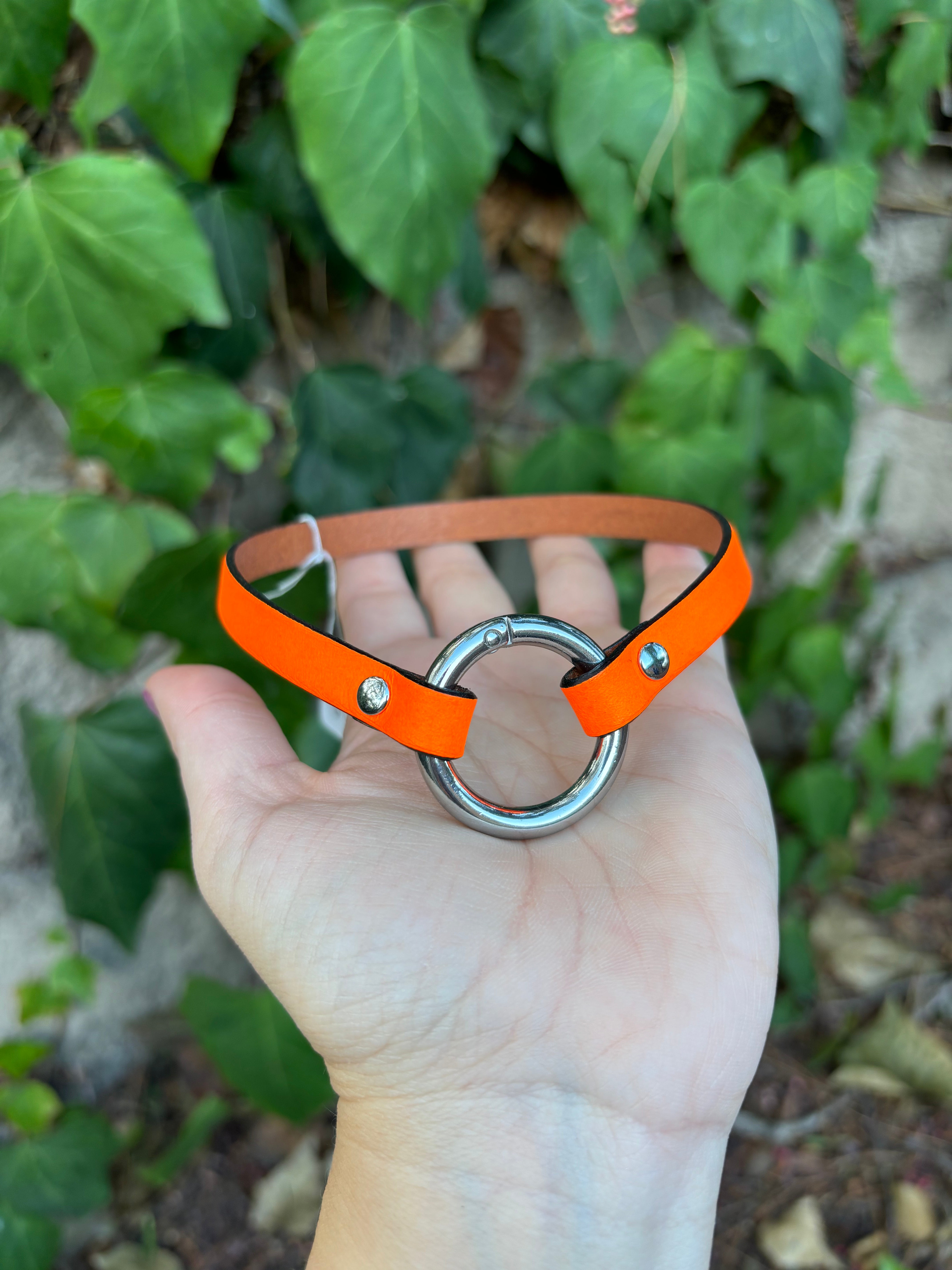 Sample Sale - Sleek Ring of O Collar - Neon & Silver - 12.5” Collar Restrained Grace