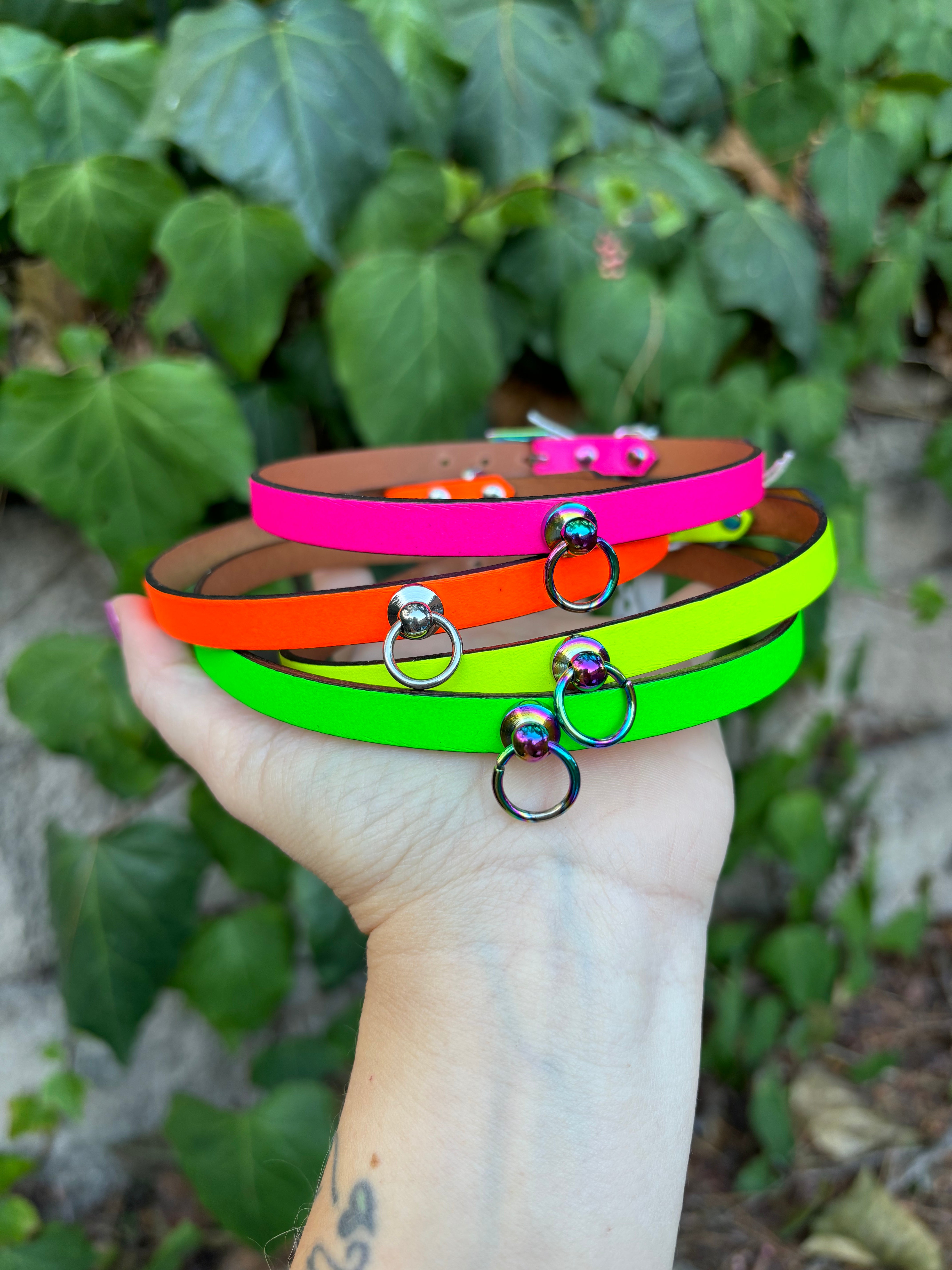 Sample Sale - Neon Mini Collar Collar Restrained Grace