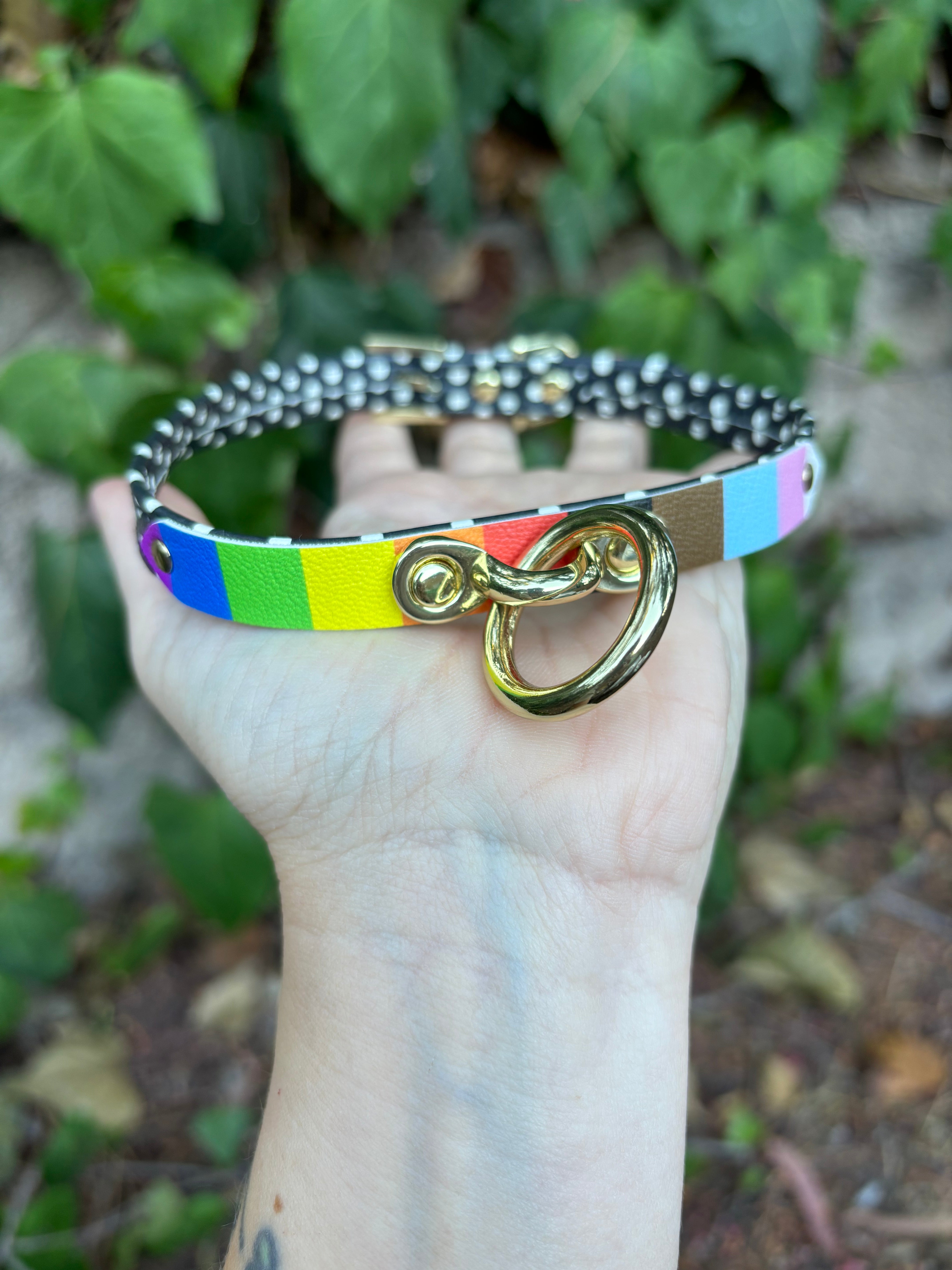 Sample Sale - Polka Dot and Gold Pride Pride Petite Collar - 14”-16” Collar Restrained Grace