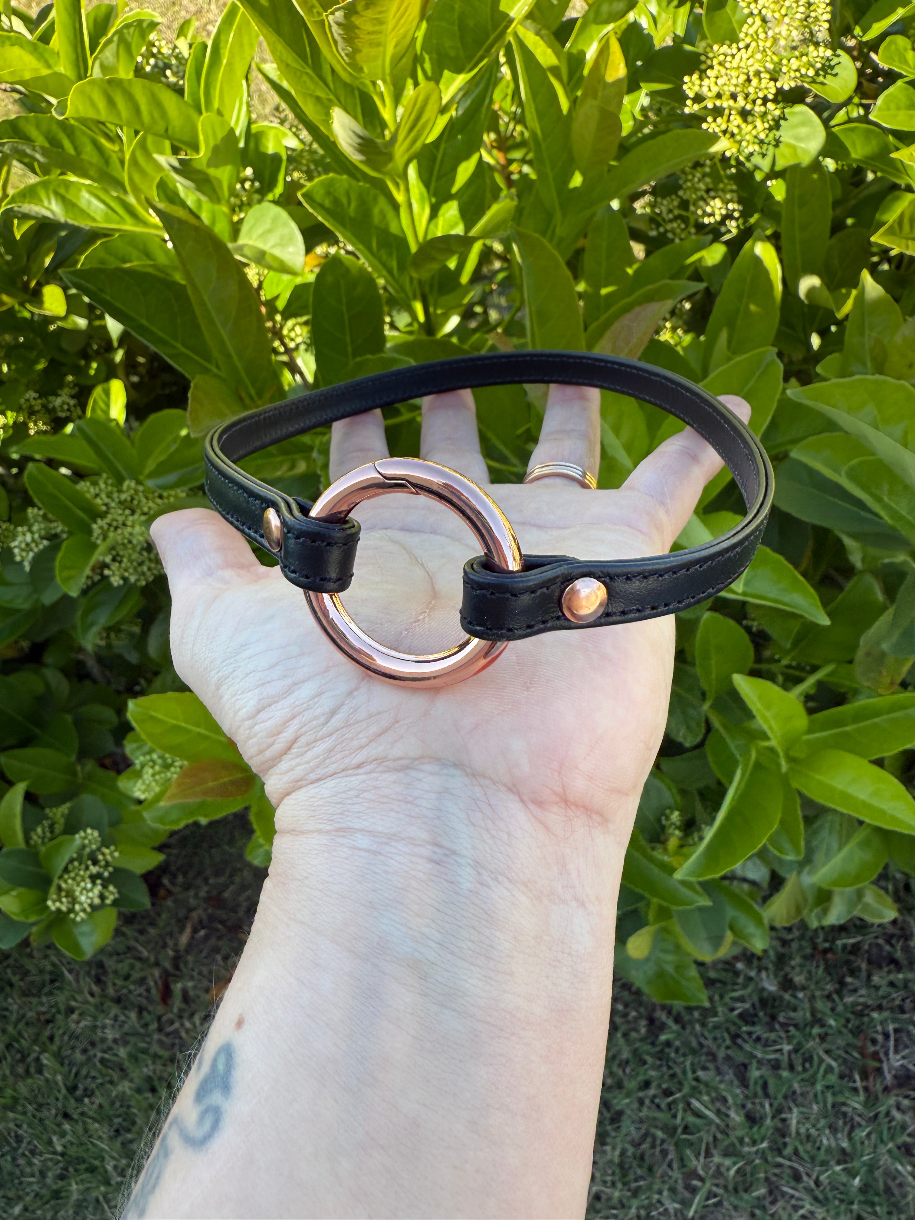 Sample Sale - Black and Rose Gold Sleek Ring of O Collar - 16" Collar Restrained Grace