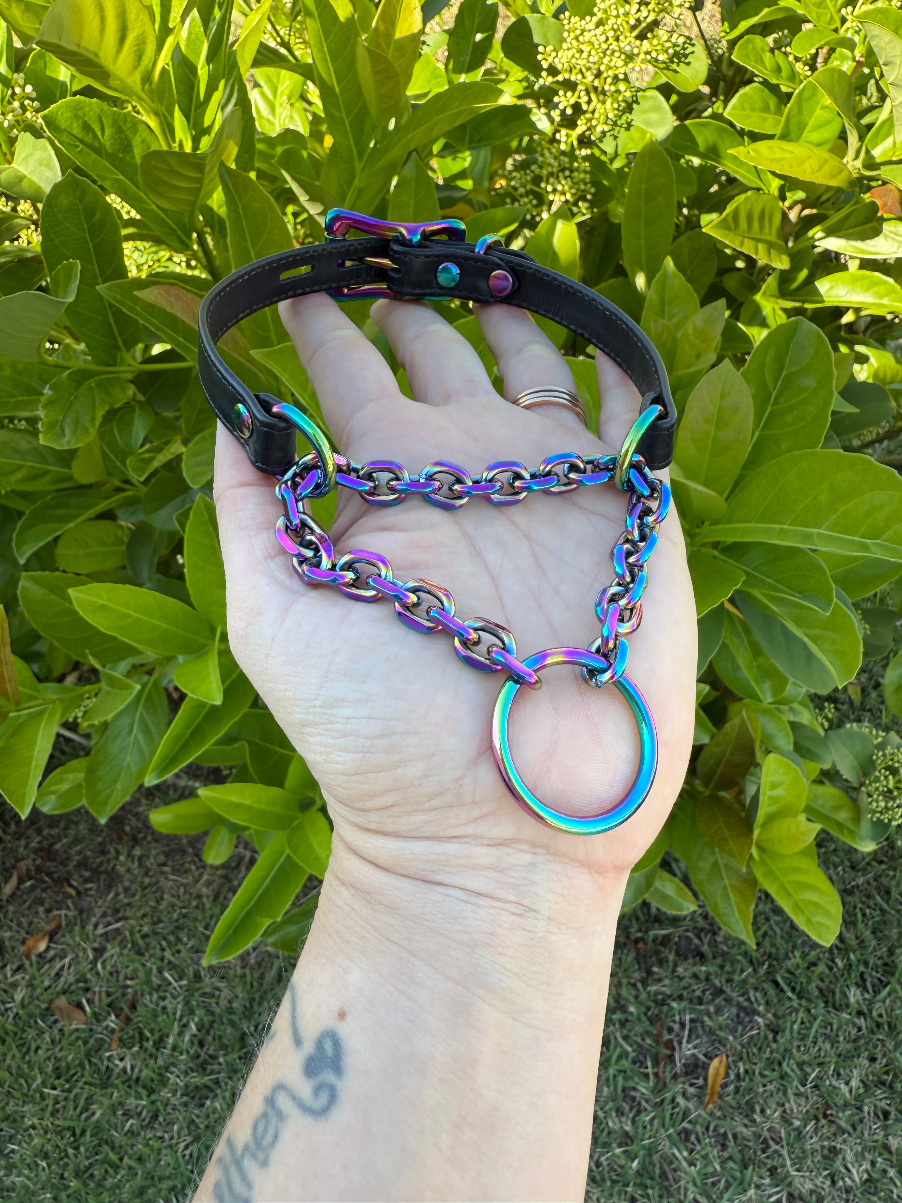 Sample Sale - Black and Rainbow Petite Martingale Collar - 11.5"-13.5" Collar Restrained Grace