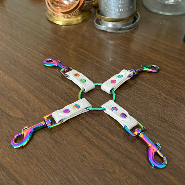 Rainbow Unicorn BDSM Hogtie